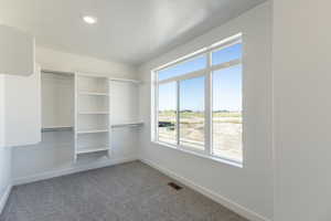 Walk in closet with light carpet