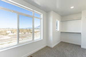 Spacious closet featuring light colored carpet