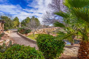 Common Area Pond & Trails