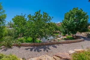 View from back patio of garden pond and trails