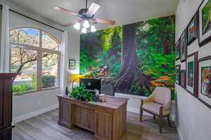 Front Bedroom could be an office