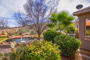 View of yard and pond from patio