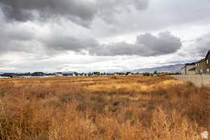 View of undeveloped land featuring rural landscape