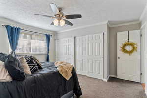 Bedroom featuring multiple closets, carpet floors, crown molding, a textured ceiling, and a ceiling fan