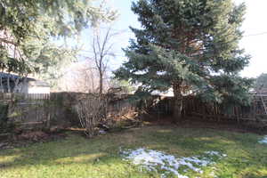 View of fenced backyard