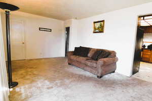 Living room with light carpet and a textured ceiling