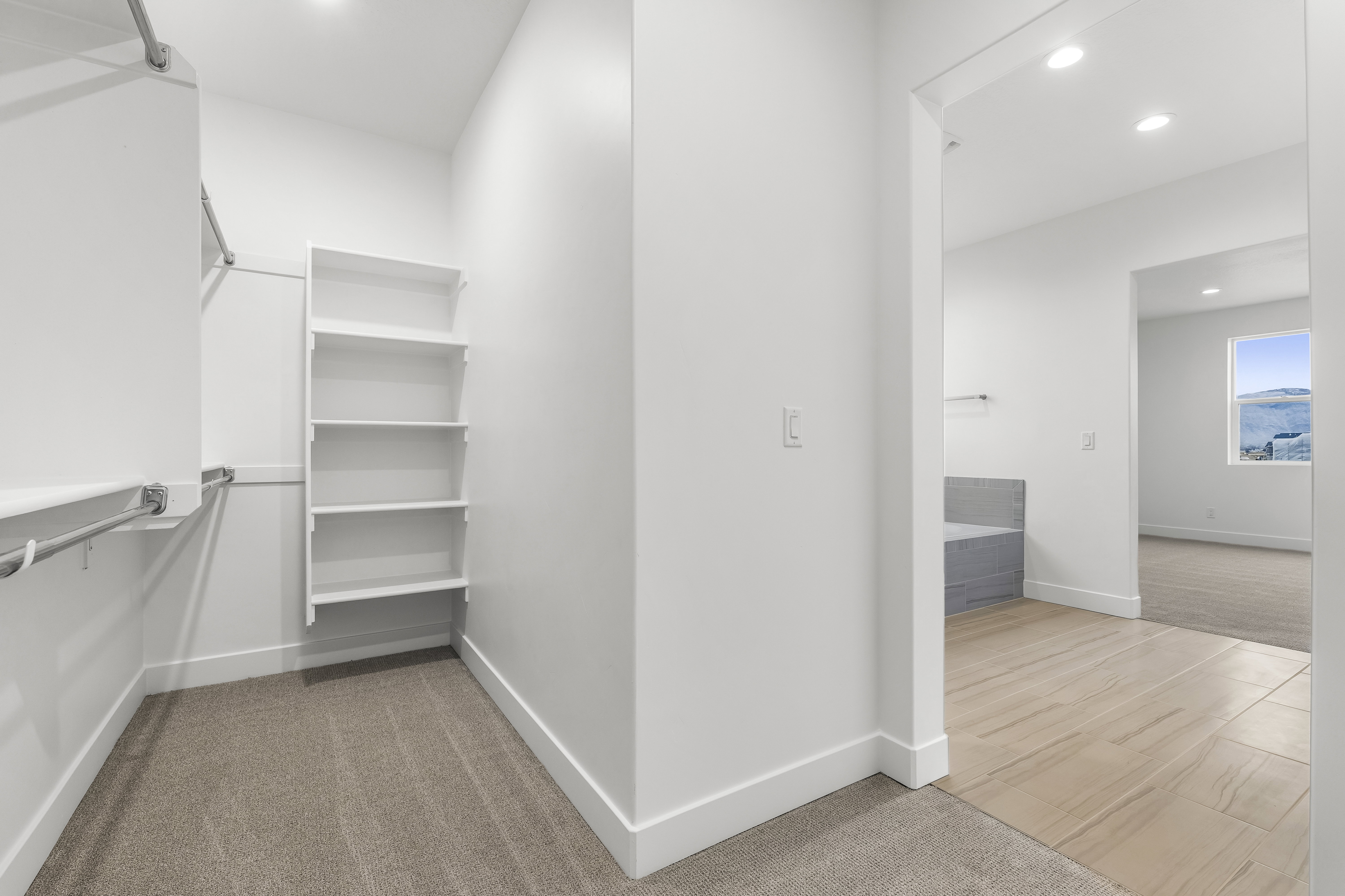 Walk in closet with light carpet