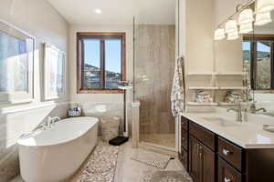 Full bathroom featuring healthy amount of natural light, a soaking tub, a shower stall, vanity, and a wainscoted wall