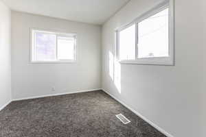 Unfurnished room featuring carpet and healthy amount of natural light