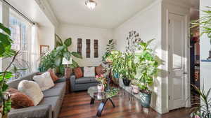 Living area with ornamental molding and dark wood-type flooring