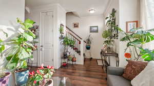 Entrance foyer with crown molding, dark wood-style flooring, and stairway