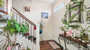 Foyer featuring ornamental molding, stairs, and dark wood-style flooring