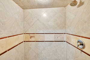 Bathroom view of tiled shower