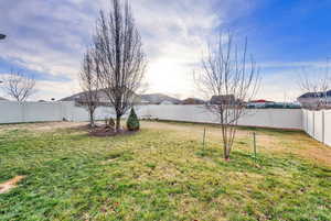 View of fenced backyard