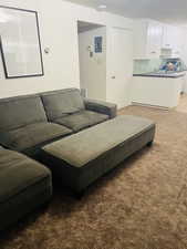 Living room featuring light carpet