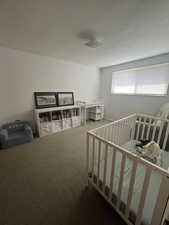 Bedroom featuring carpet floors, a nursery area, a textured ceiling, and a textured wall