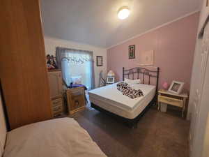 Carpeted bedroom featuring crown molding, a textured ceiling, and a closet