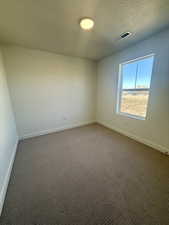 Spare room with carpet and a textured ceiling