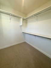 Spacious closet with carpet floors
