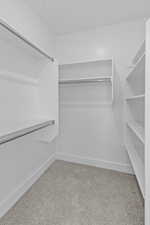 Spacious closet featuring light carpet