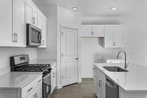 Kitchen featuring stainless steel appliances, white cabinets, dark wood finished floors, and recessed lighting