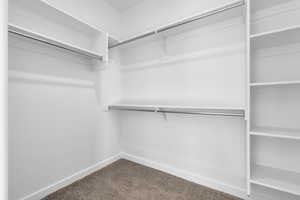 Spacious closet with dark colored carpet