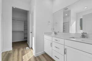 Bathroom with a spacious closet, double vanity, and light wood finished floors
