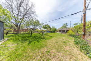 Fenced and private backyard
