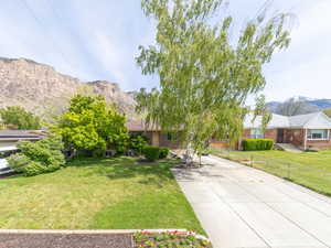 Mature trees offering lots of shade and curb appeal