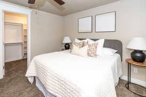 Bedroom with a walk in closet, dark colored carpet, and a ceiling fan