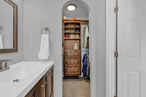 Primary bathroom featuring vanity, light carpet, and a spacious walk in closet