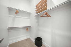 Walk in closet featuring light carpet