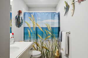 Full bath featuring vanity and a shower with curtain