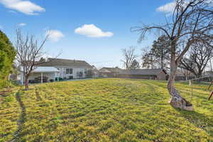 View of yard featuring a patio area