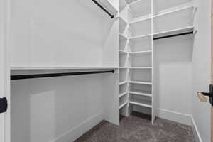 Spacious closet with dark colored carpet