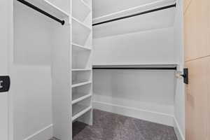 Spacious closet featuring carpet