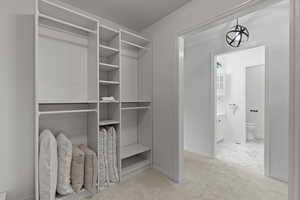 Spacious closet with light colored carpet