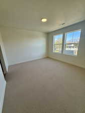 Spare room with carpet, a textured ceiling, and a mountain view