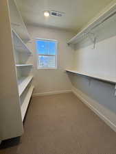 Walk in closet with light colored carpet