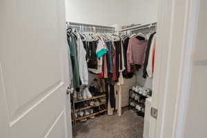 Spacious closet featuring light carpet