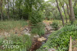 View of local wilderness