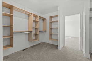 Walk in closet with light carpet