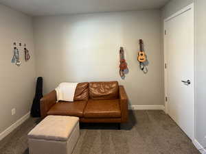 Living room with dark colored carpet