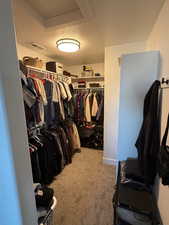 Walk in closet with light colored carpet