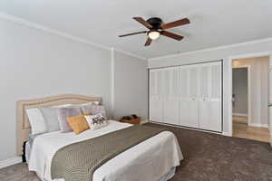 Bedroom featuring crown molding, carpet, ceiling fan, and a closet