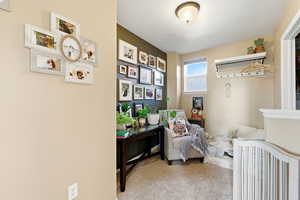 Bedroom with light carpet