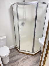 Full bathroom with light wood-type flooring and a stall shower