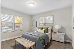 Bedroom with carpet floors