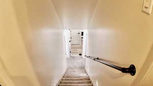 Stairs with carpet floors