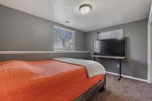Bedroom with a textured ceiling and carpet
